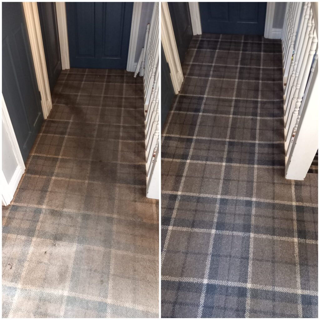 A before and after image of a carpet that has been cleaned.